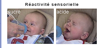 Ractivit sensorielle